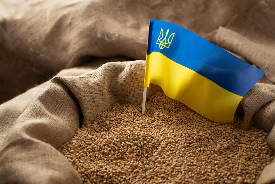 Traderii români acuză R. Moldova că ar reexporta cereale din Ucraina