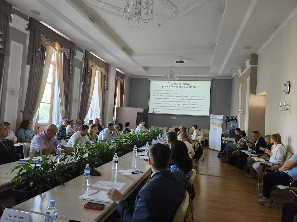 BeeProtect: Rezultatele primului an de funcționare. Ce spun apicultorii