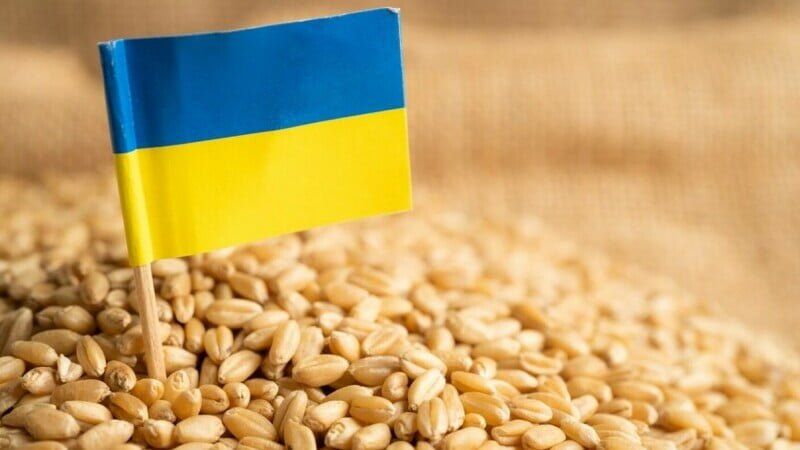 Cum va funcționa coridorul pentru tranzitarea cerealelor din Ucraina