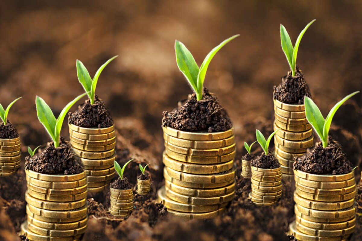 Fermierii moldoveni vor beneficia de sprijin financiar din partea Japoniei