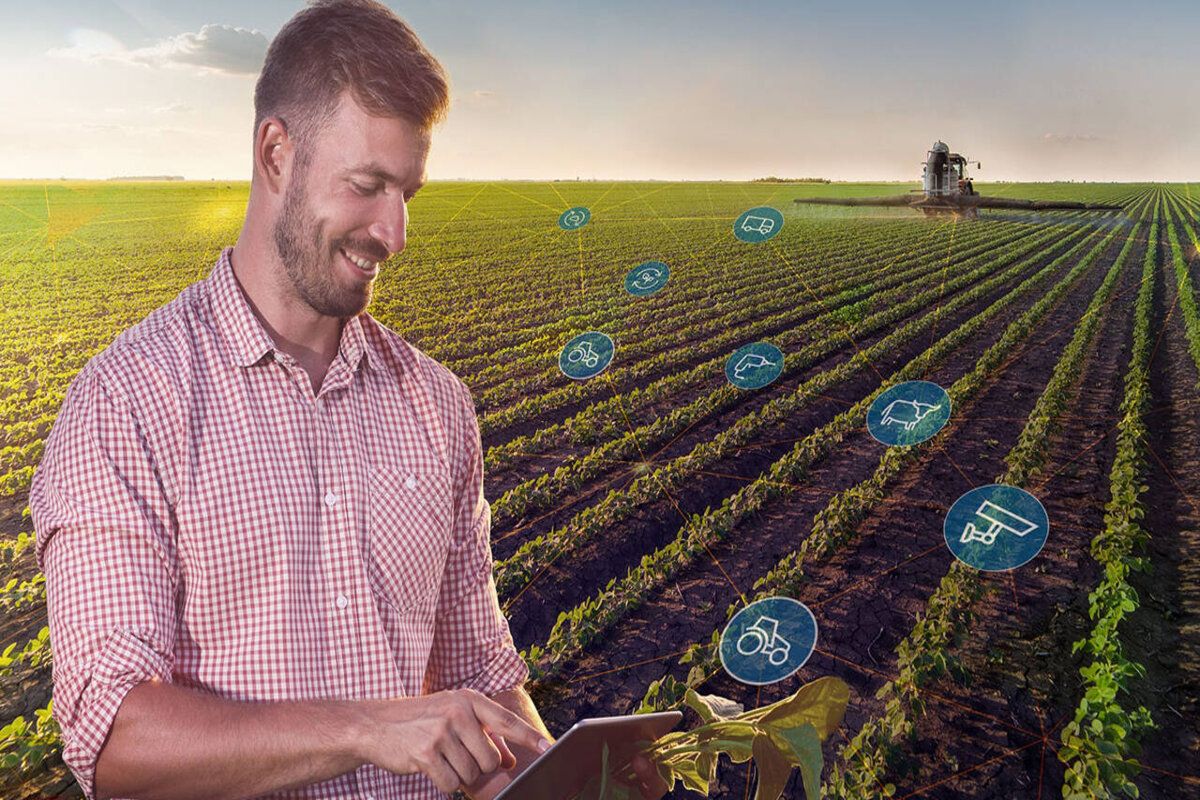 MAIA caută prestatori de servicii de consiliere și formare în agricultură