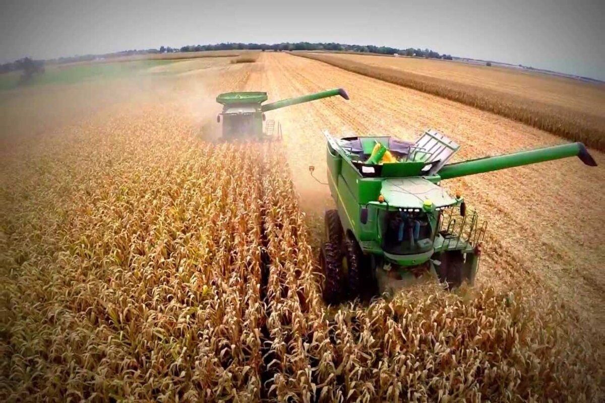 O întreprindere din sectorul agricol, amendată cu circa 2,3 milioane de lei