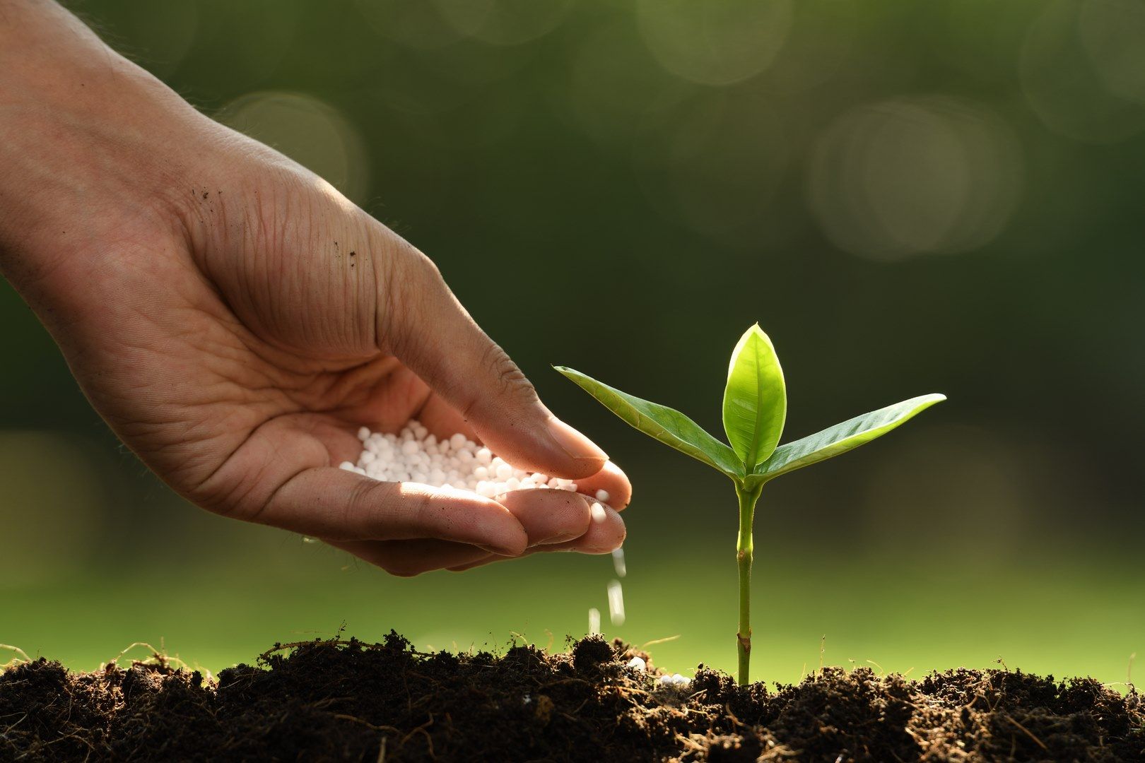 Asigurarea fermierilor cu fertilizanți: R. Moldova va primi un grant
