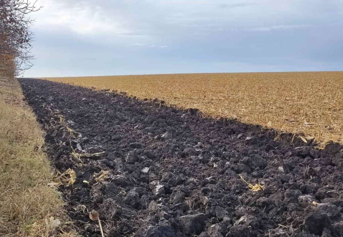Какой удельный вес черного пара в севообороте самый оптимальный