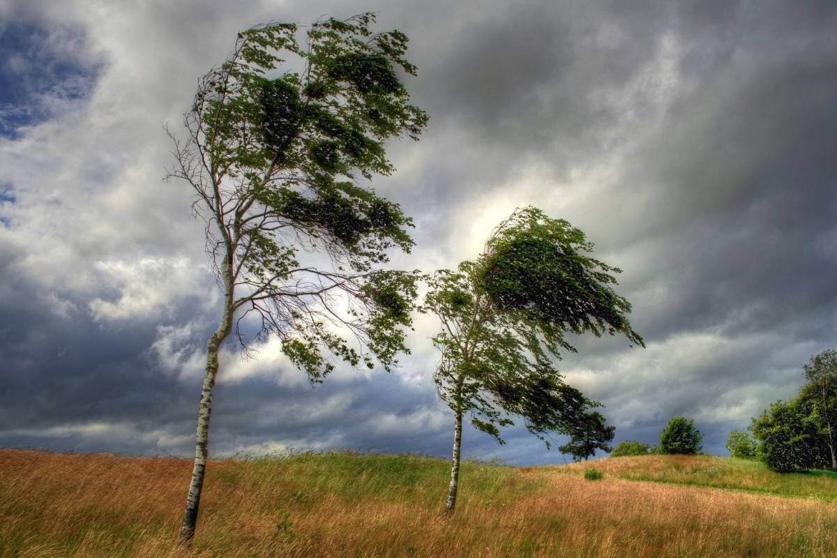 Meteorologii au anunțat Cod Galben de intensificări ale vântului