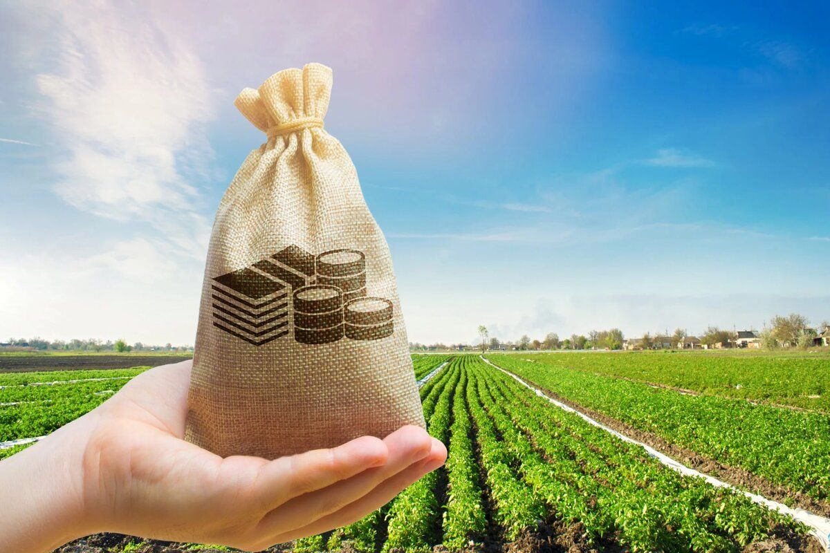 Agricultorii pot solicita subvenții pentru investițiile pe etape