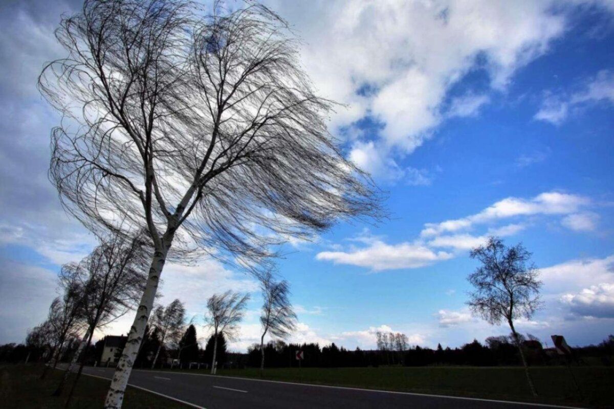 Avertizare meteorologică: Cod Galben de vânt puternic în R. Moldova