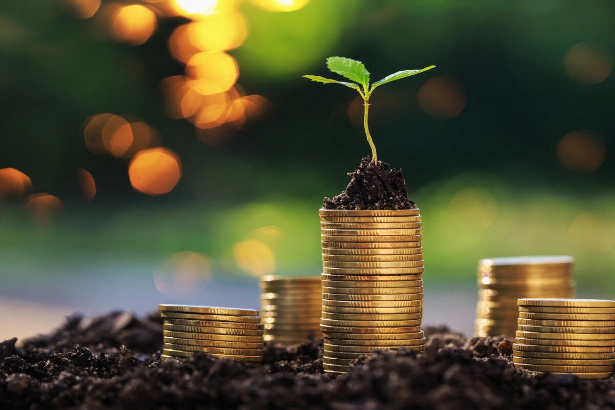 Mai mulți fermieri vor putea accesa finanțări în cadrul proiectului „Livada Moldovei”
