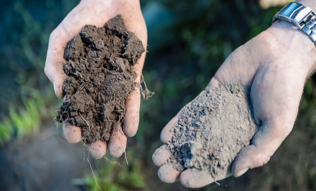 Технология no-till: почвенная влага даже в экстремальных условиях сохранена