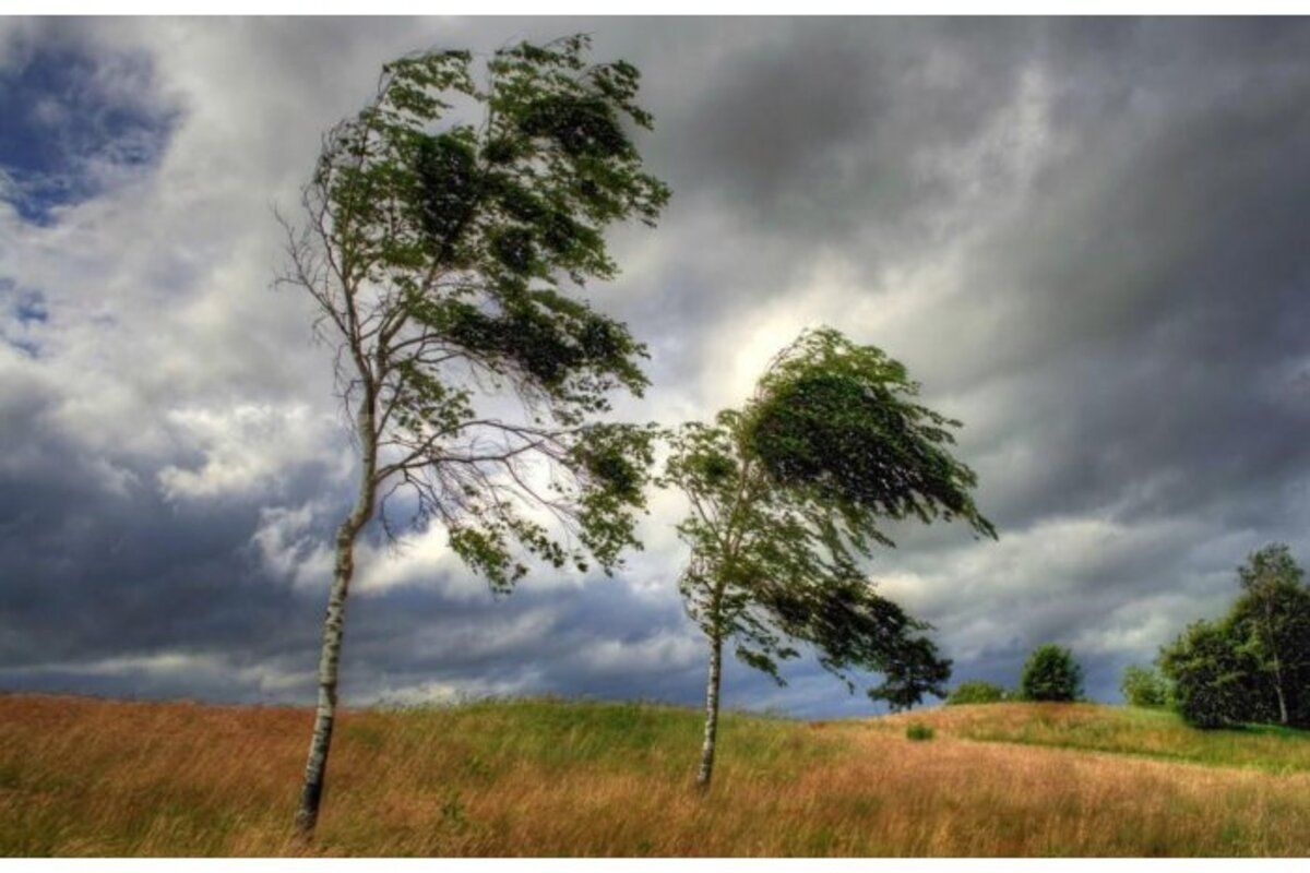 Vânt puternic la sudul R. Moldova. Meteorologii au emis Cod Galben