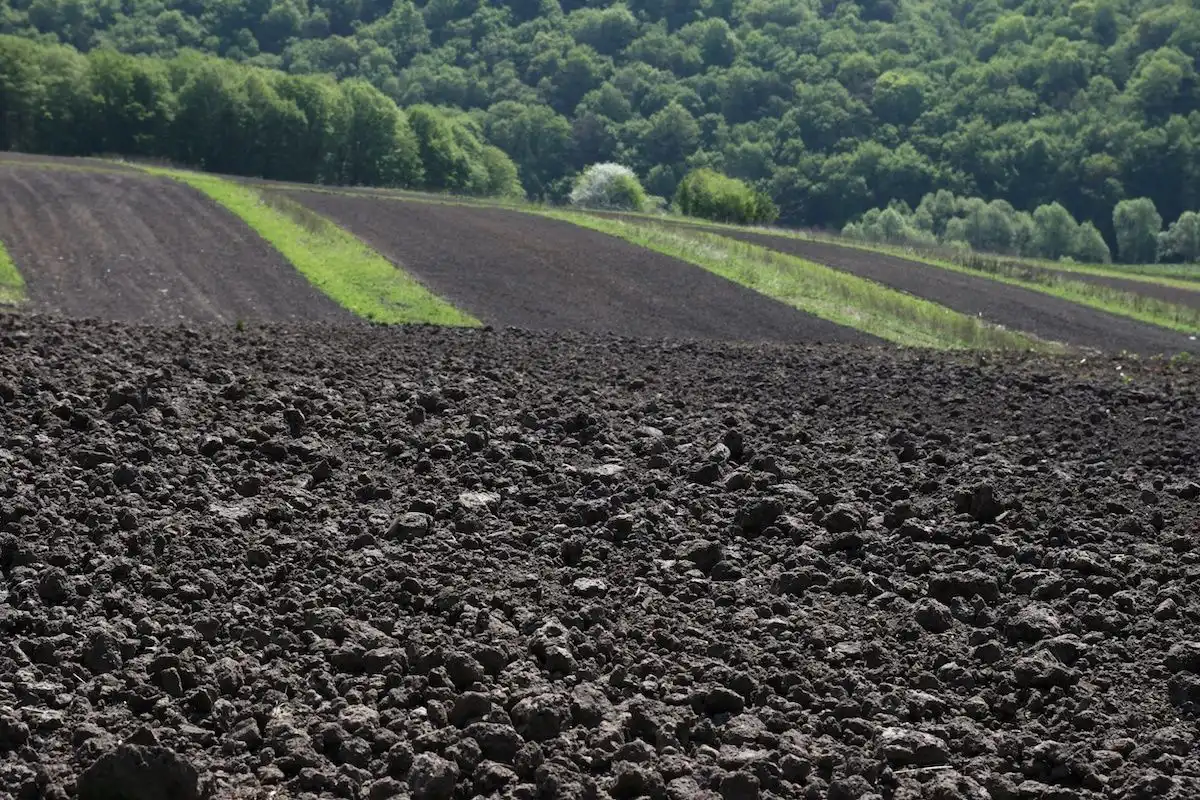 Как деградируют черноземы