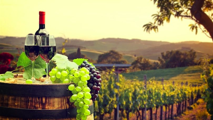 Recomandări pentru exportatorii de vinuri și produse pe bază de must