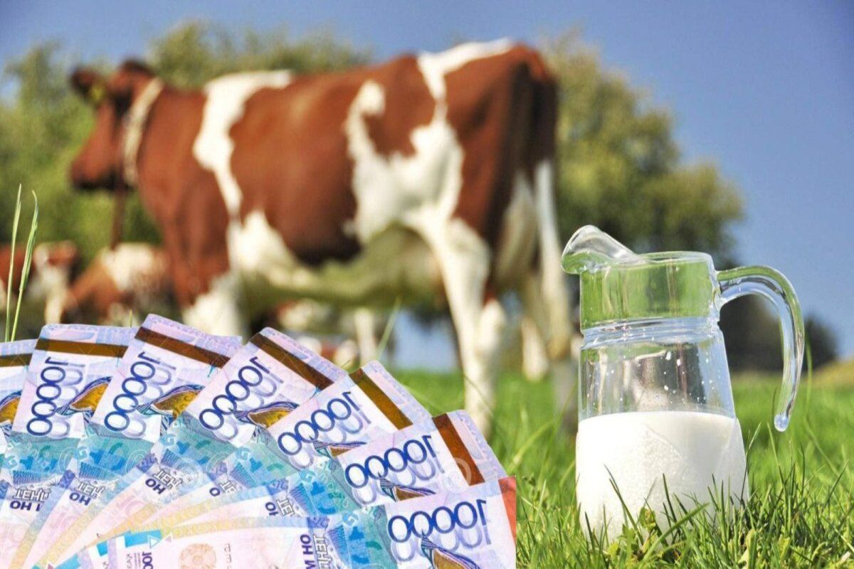 Granturi AGGRI pentru dezvoltarea zootehniei: Care sunt condițiile