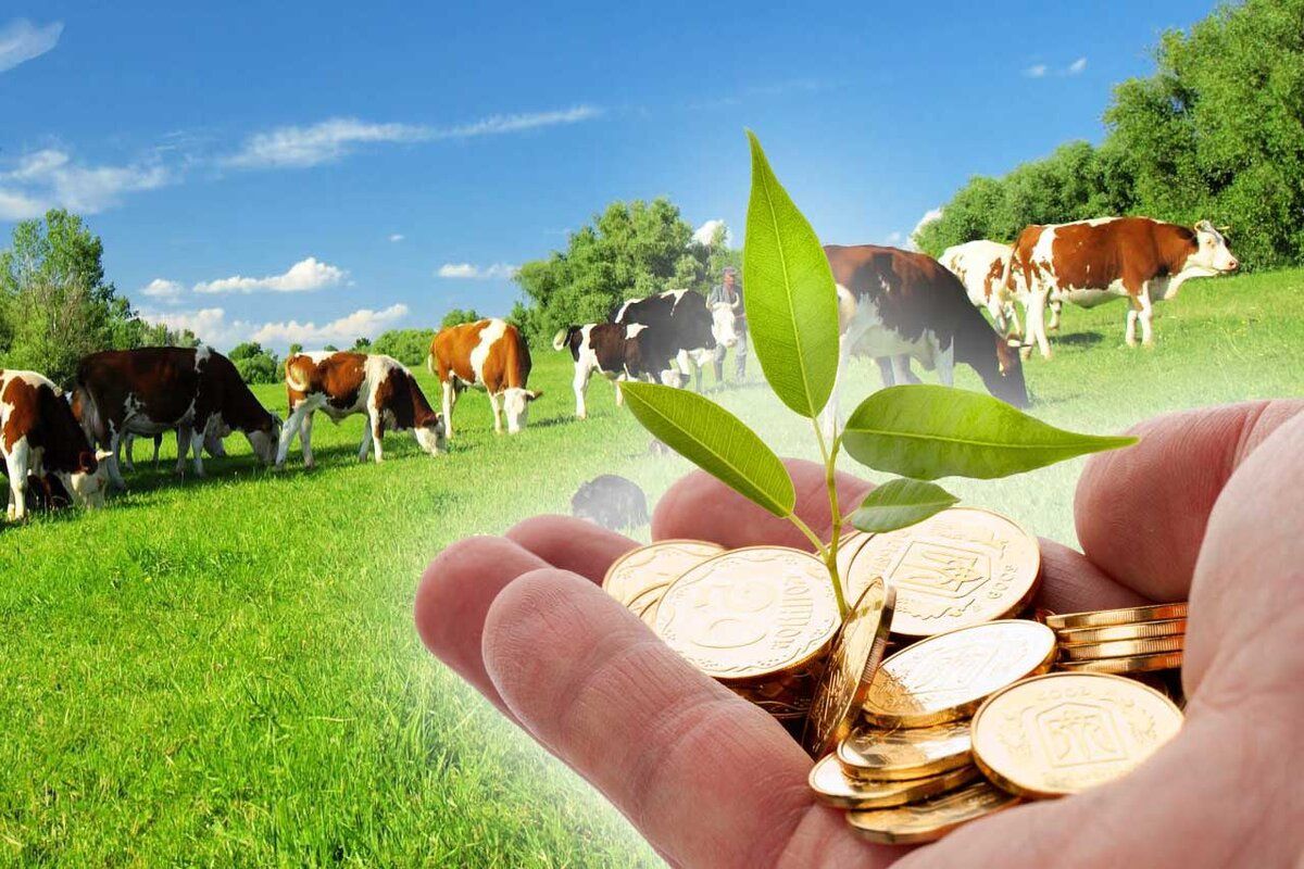 Oportunitate pentru agricultori: Finanțare pentru dezvoltarea afacerii