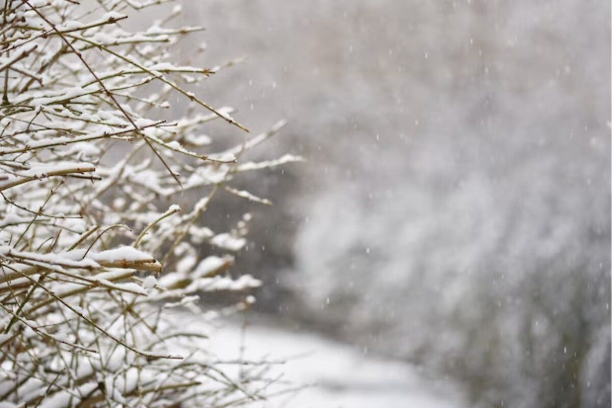 În luna ianuarie vom avea temperaturi peste valorile normei