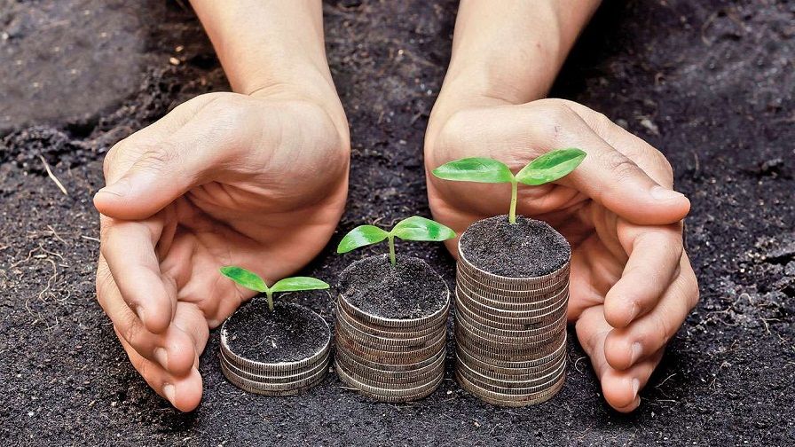 Fermierii din Dubăsari vor fi obligați să achite taxe în bugetul regiunii transnistrene