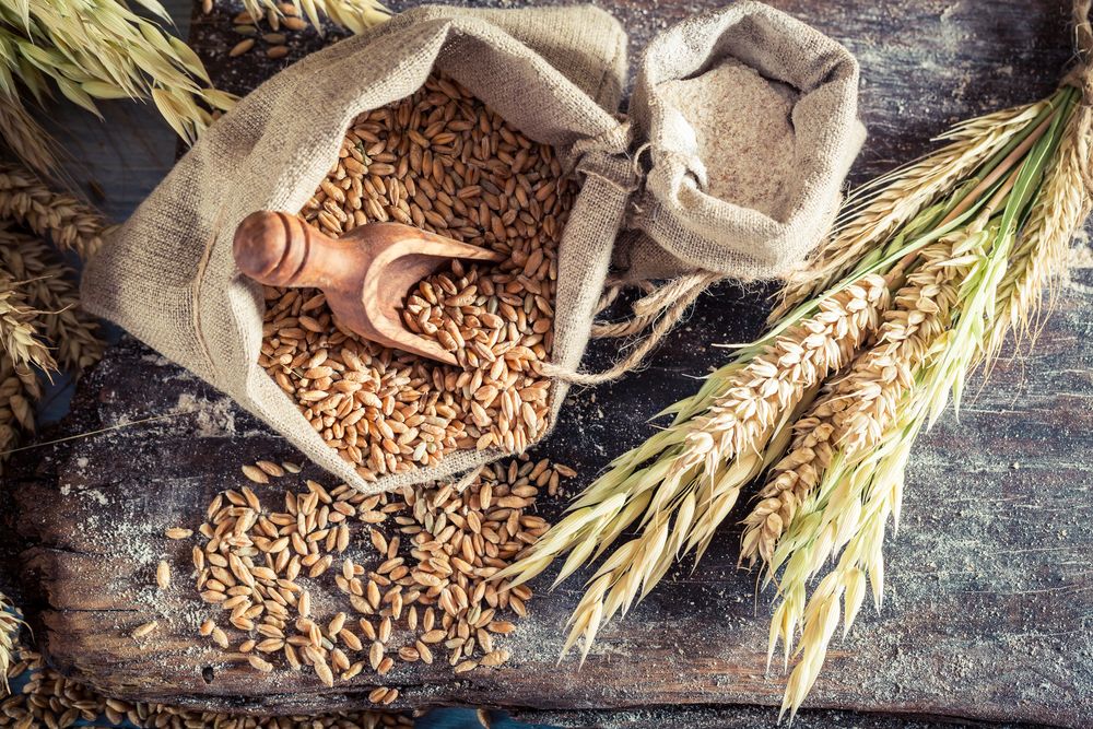 Prețul cerealelor în portul Constanța: Iată factorii care au influențat scăderea
