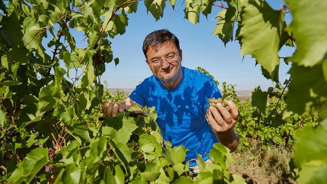Inovație în industria vitivinicolă: Familia Rizov a creat o cramă digitală