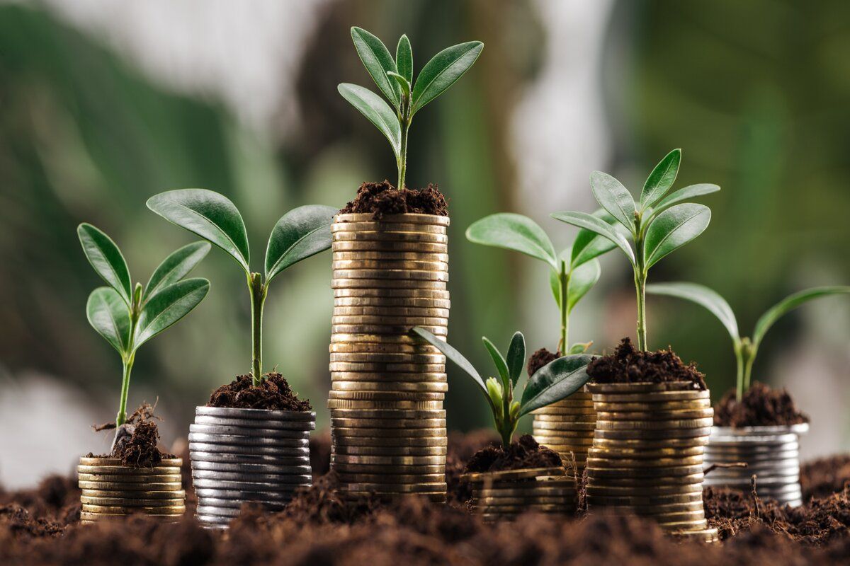 Fermierii pot solicita subvenții în avans pentru proiecte de îmbunătățiri funciare