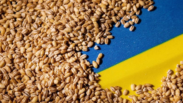 UE va bloca exporturile de produse ucrainene, dacă acestea vor afecta țările vecine