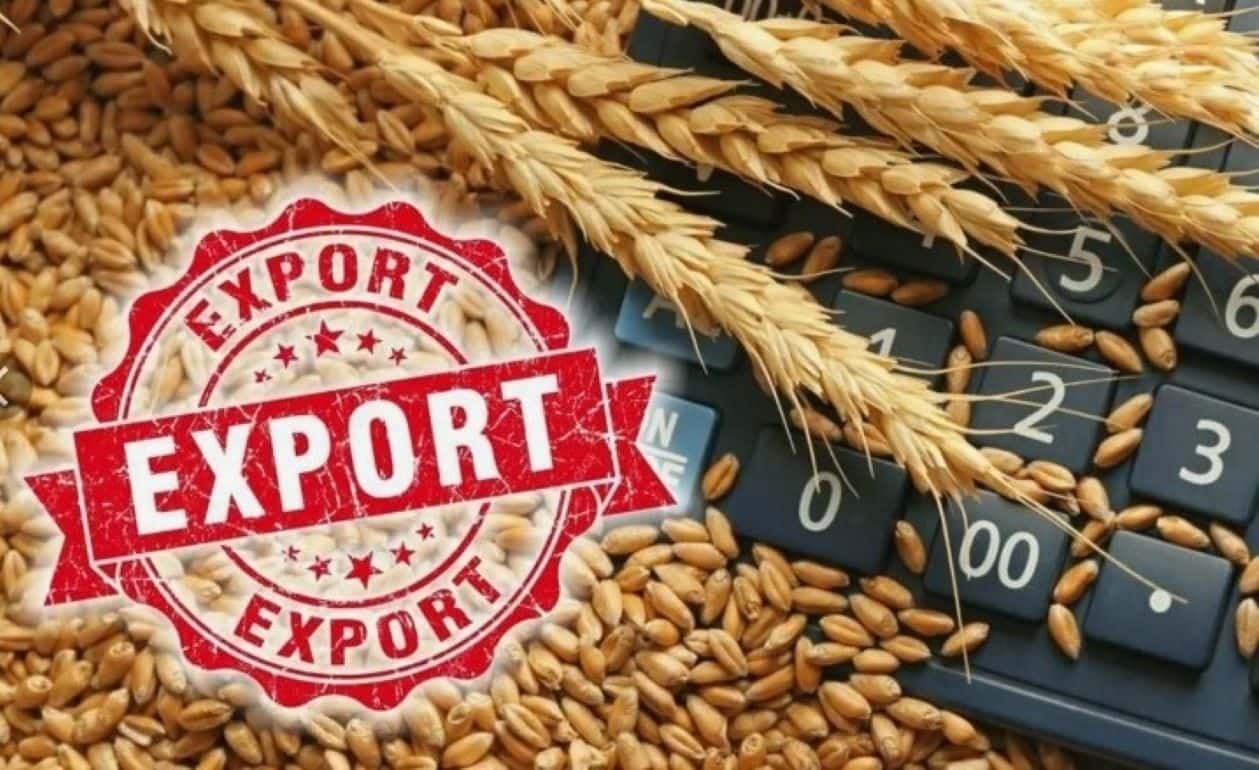 Польша и Украина проведут переговоры по экспортным лицензиям