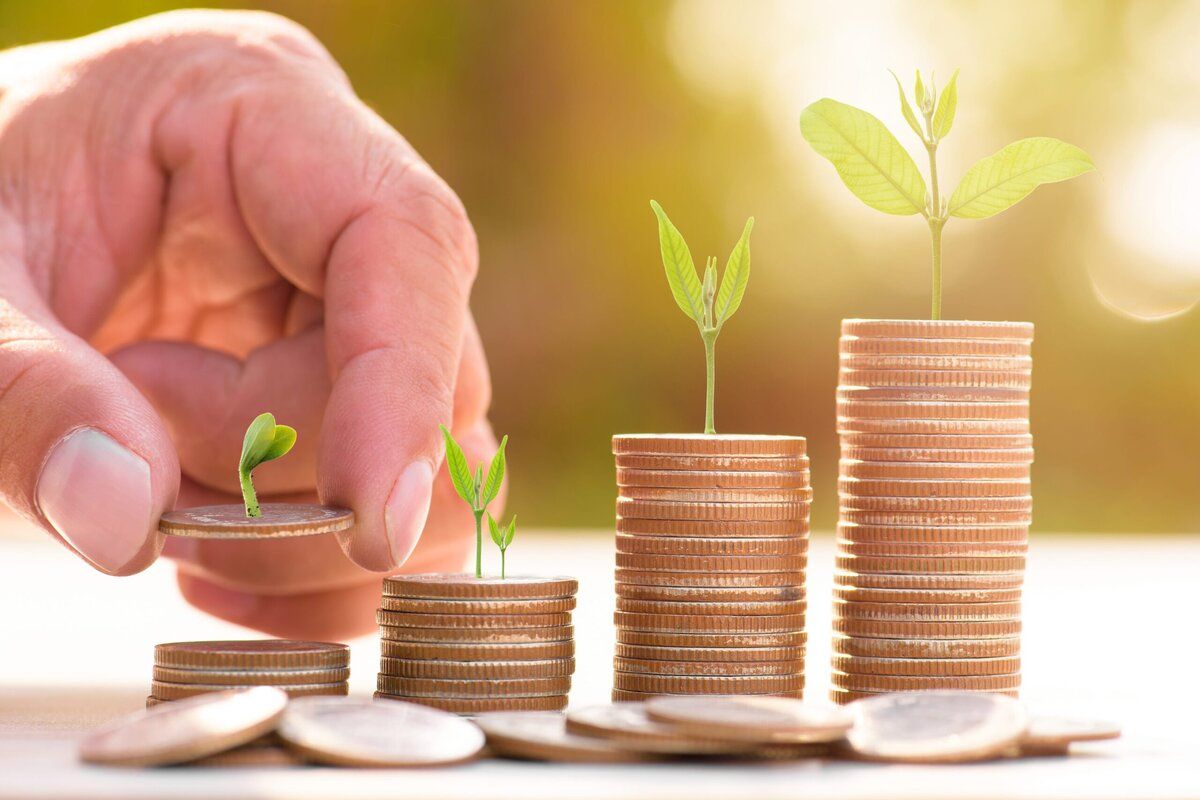 Instituțiile de învățământ și de cercetare cu profil agricol pot obține finanțare