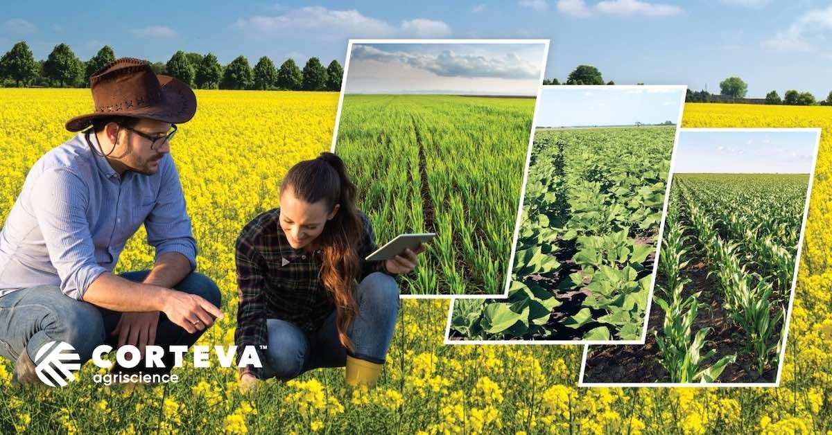 Seminarele Corteva Learning Day aduc în prim-plan noutățile pentru 2024