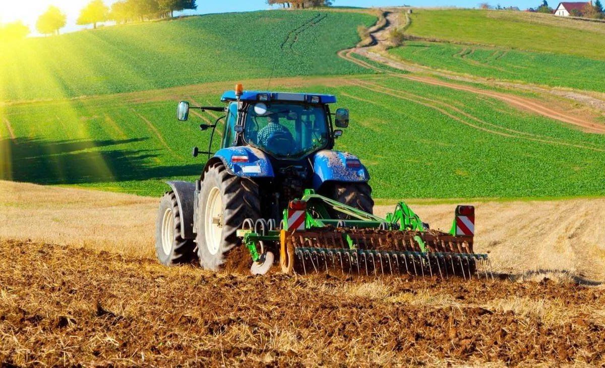 Ajutor pentru fermierii mici și gospodăriile rurale. Vor primi semințe și furaje