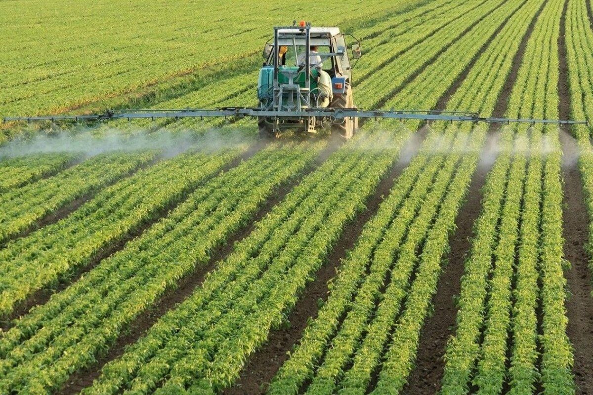 Ce schimbări aduce noul Cod Vamal pentru sectorul agricol