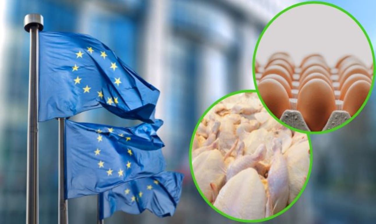 Ограничений на украинскую птицу, яйца и сахар для ЕС недостаточно