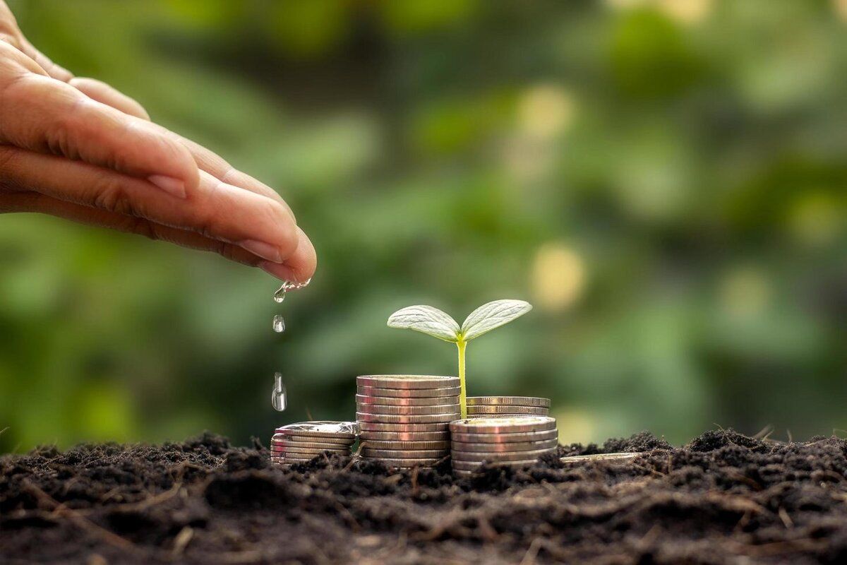 Credite pentru producătorii de cereale: Ce acte trebuie să prezinte