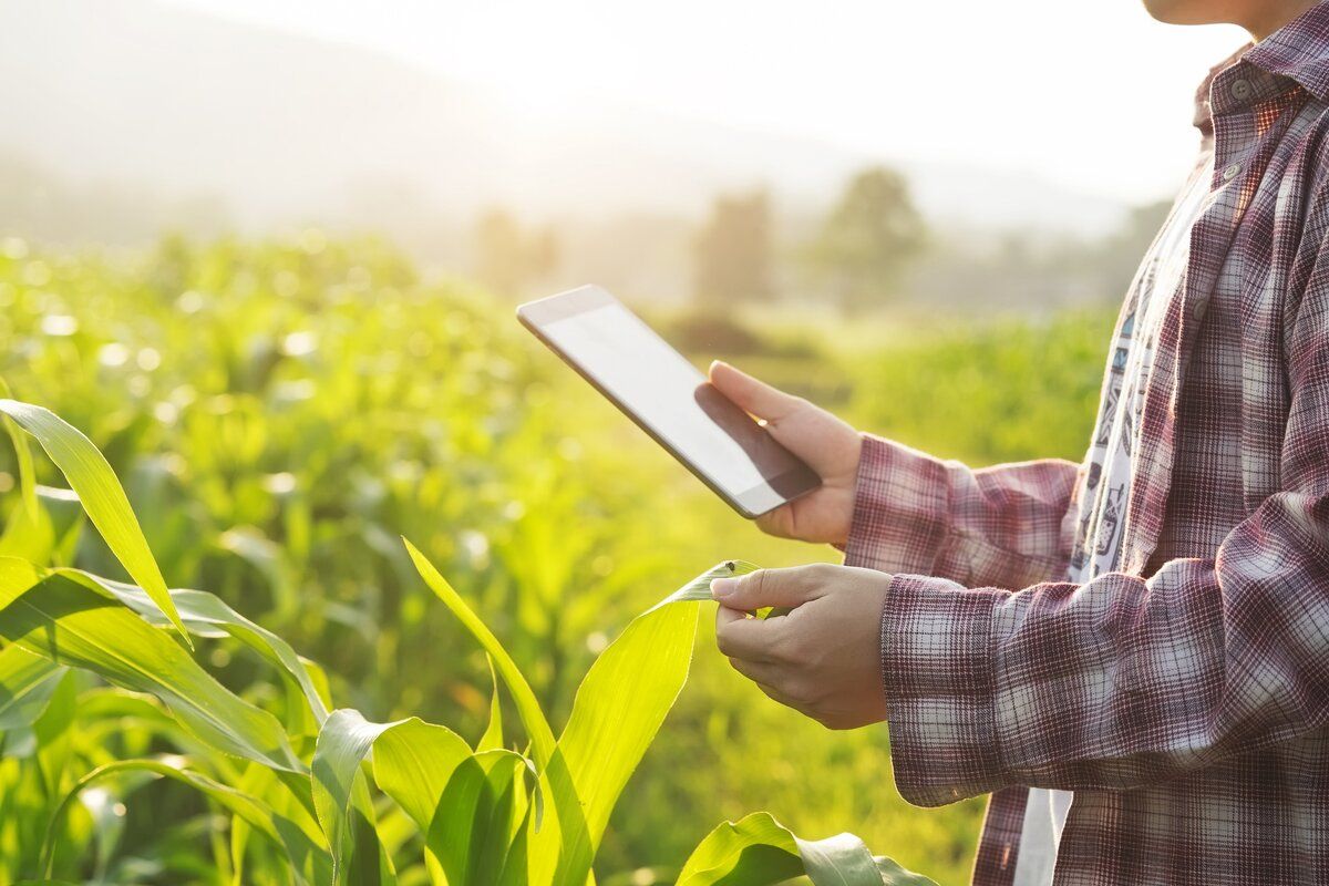 Centrul de Consiliere Agricola și Rurală caută consultant științific