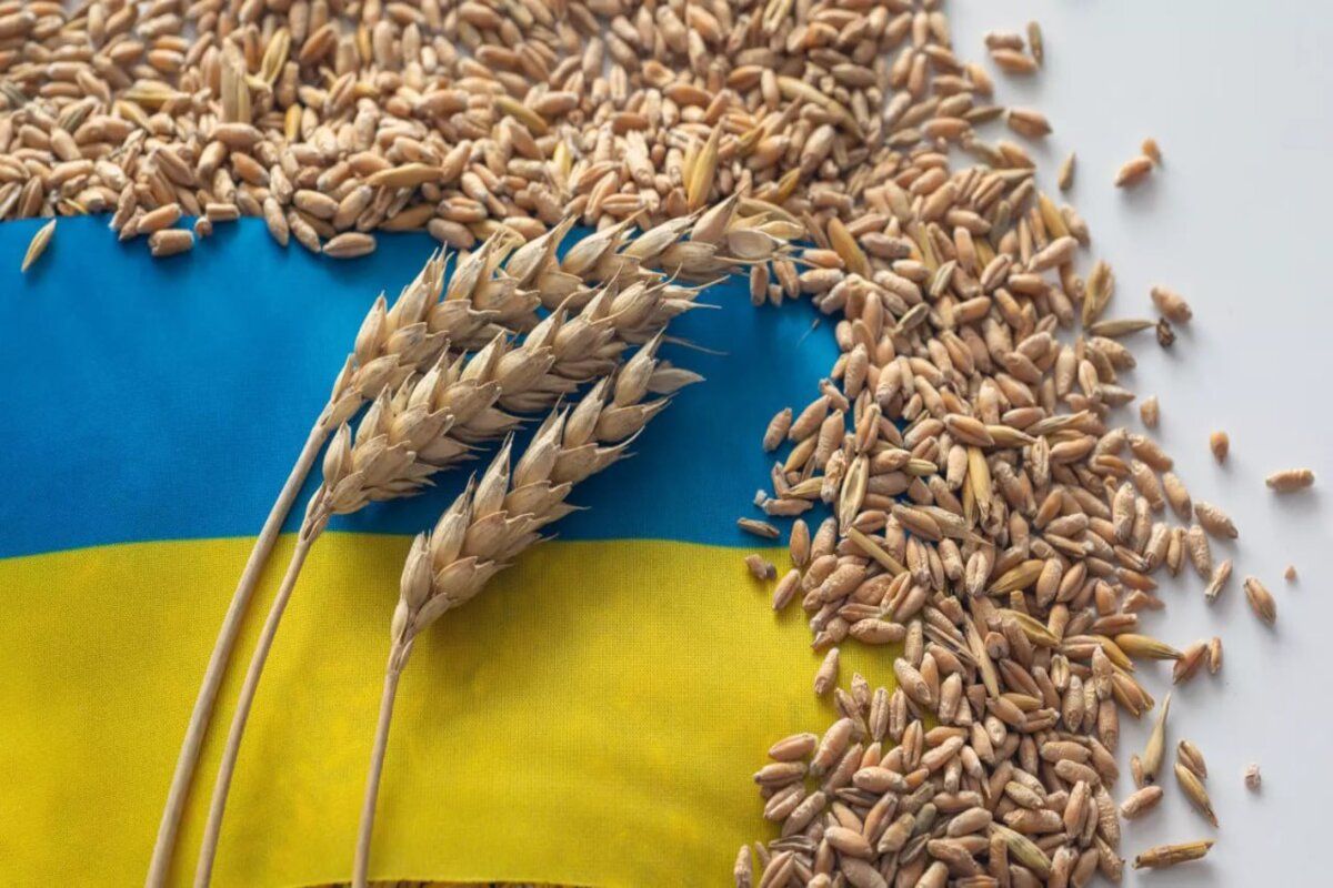 Sectorul agricol din Ucraina a pierdut 80 de miliarde de dolari din cauza invaziei ruse