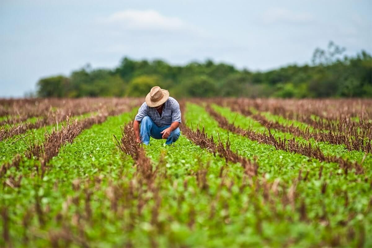 Producția agricolă a crescut cu peste 23% în anul 2023