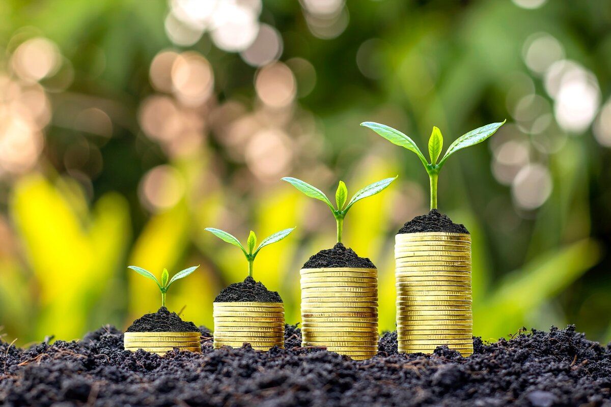 Un nou instrument de creditare va fi disponibil pentru agricultori