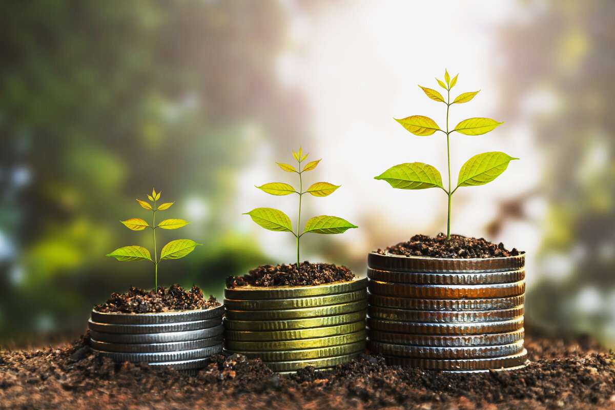 Un miliard de lei investiți prin programul 373. Care sunt domeniile