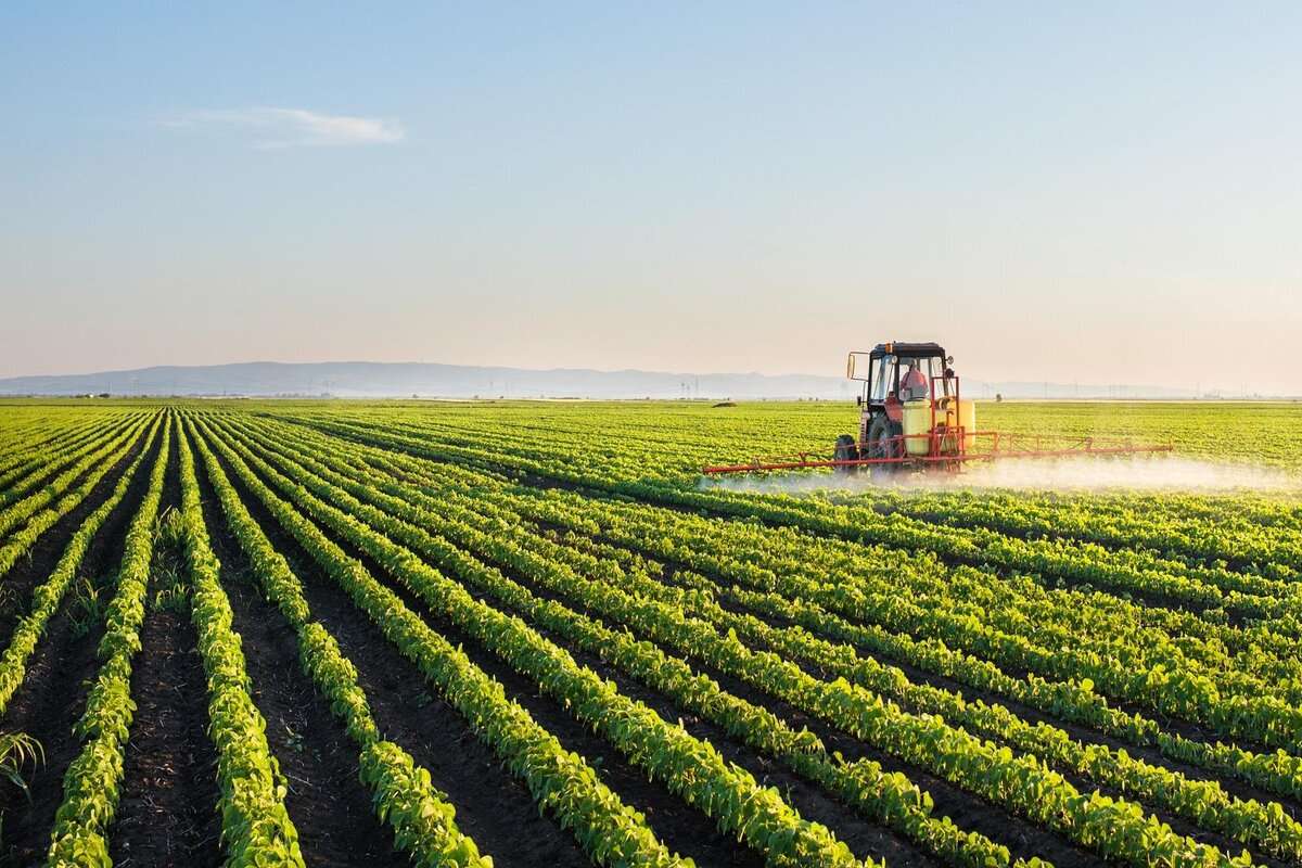 Asociația Cultivatorilor de Lavandă nu este de acord cu crearea camerelor agricole