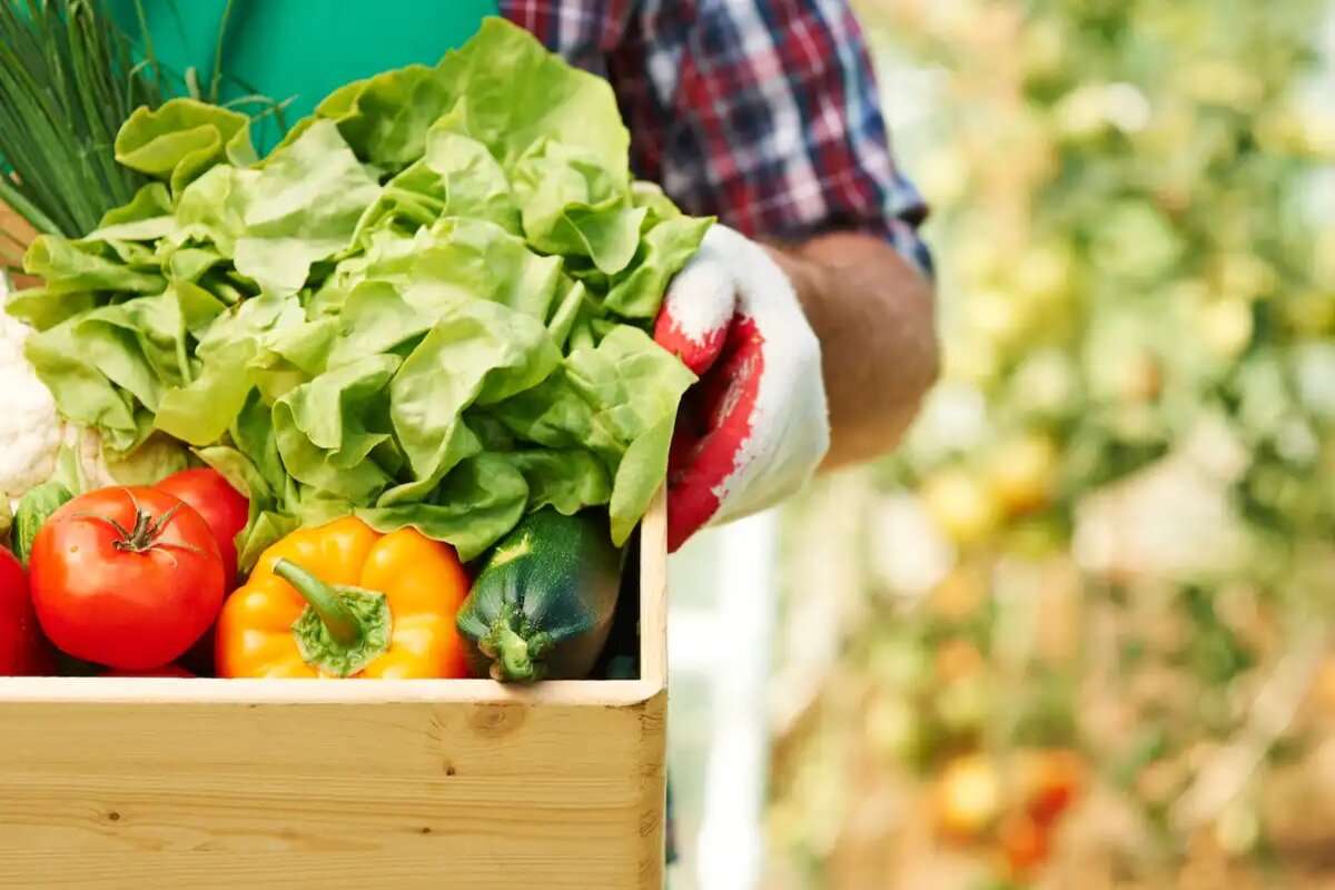 Prețurile la produsele agricole s-au redus cu peste 17%, în 2023