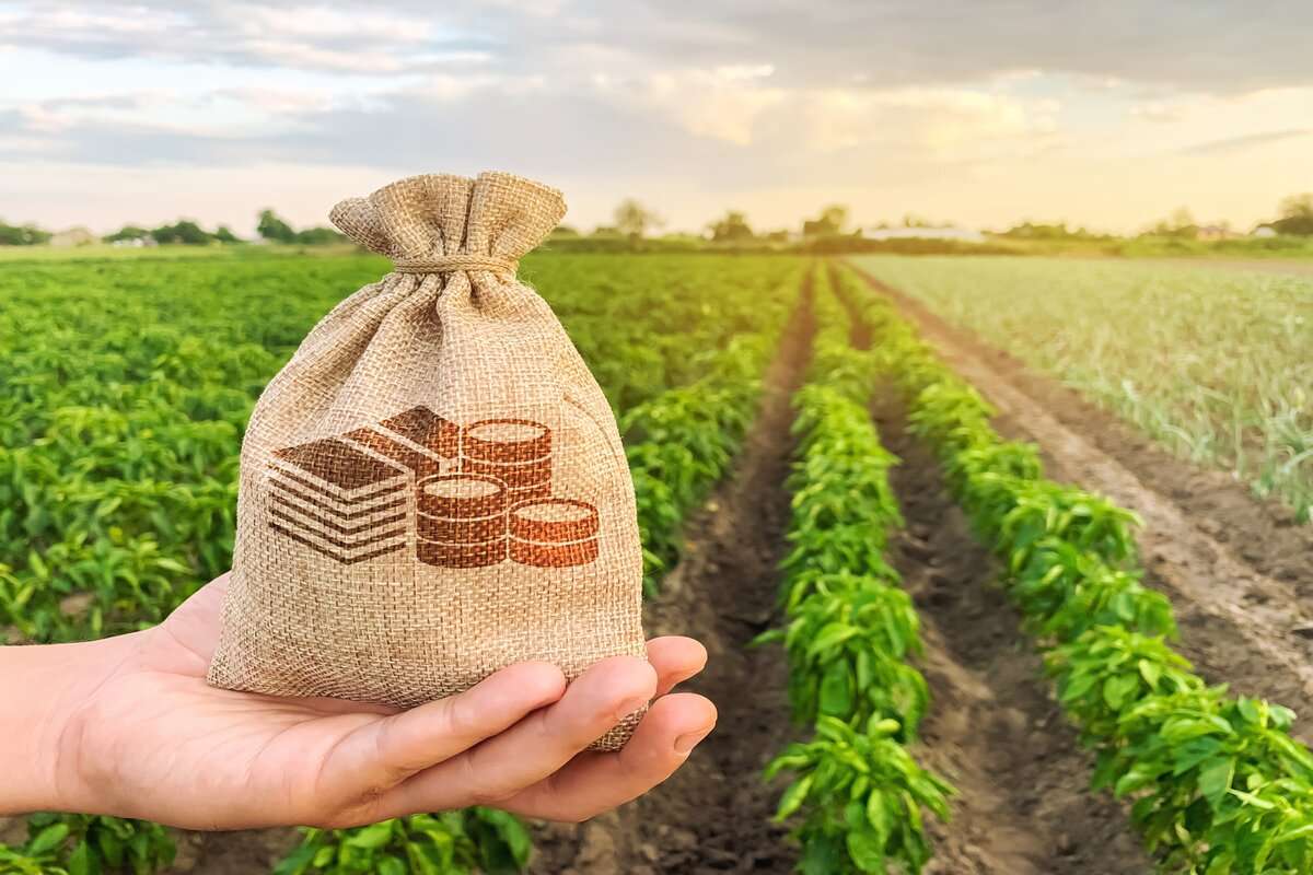 Fermierii afectați de intemperii pot solicita ajutor financiar până pe 15 martie
