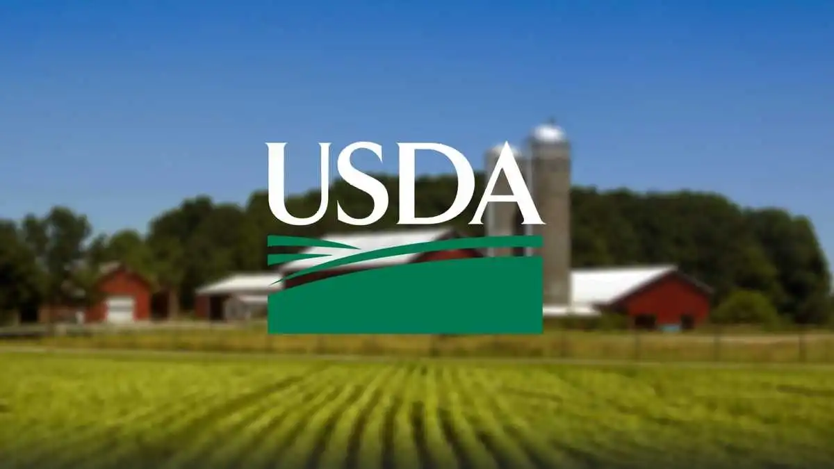 Сюрпризы августовского отчета USDA и реакция рынка