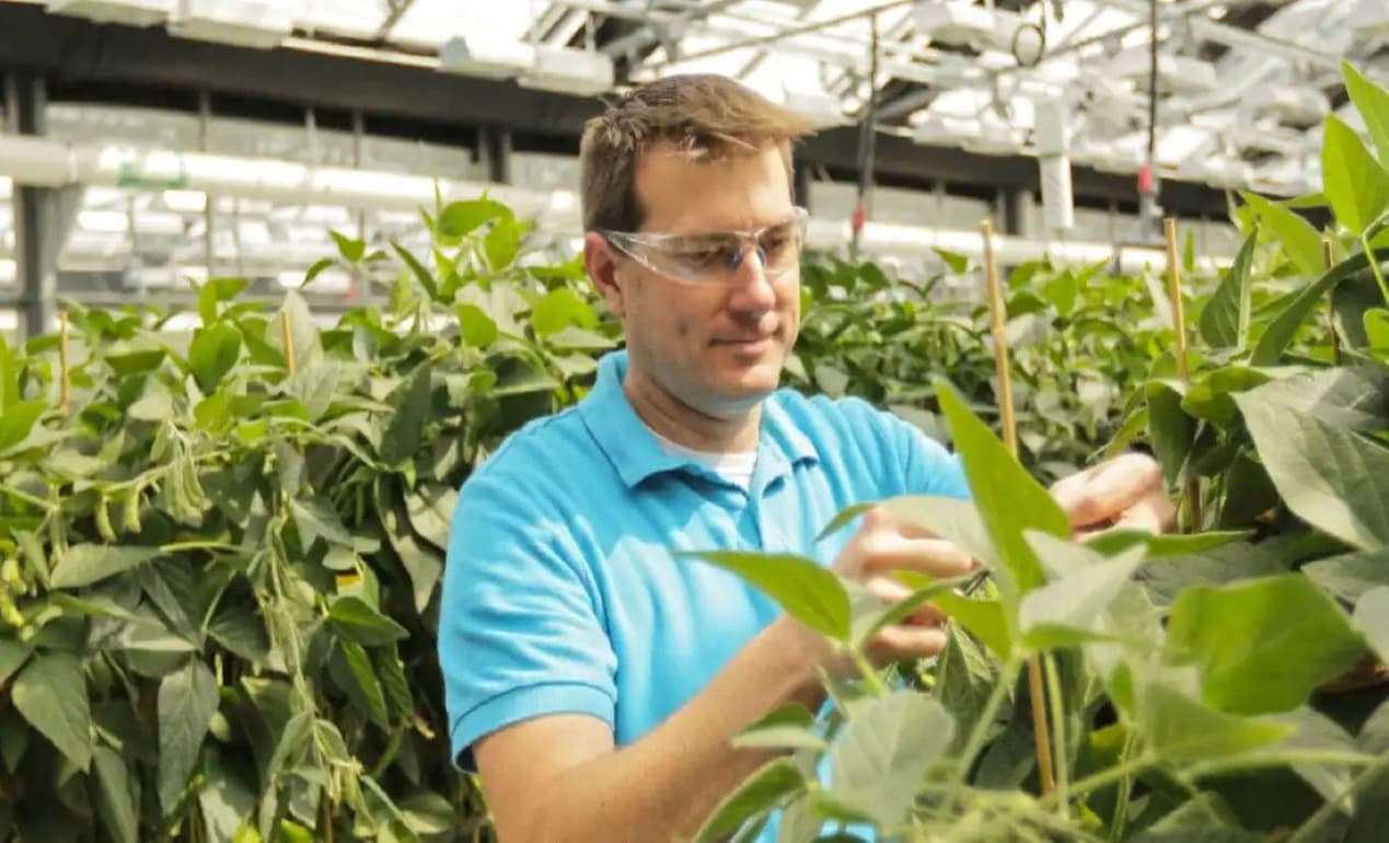 Bayer выведет на рынок альтернативу глифосату к 2028 году