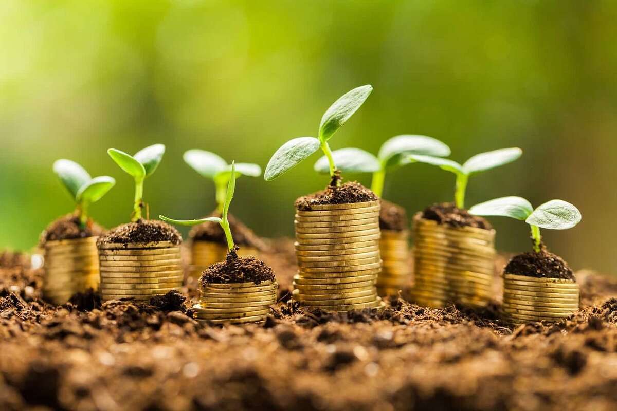 Creditele acordate producătorilor de cereale vor fi garantate de stat