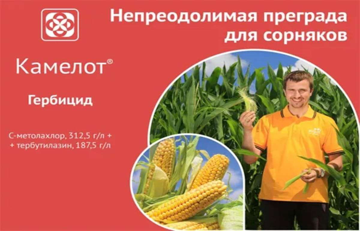 Камелот® — Непреодолимая преграда для сорняков