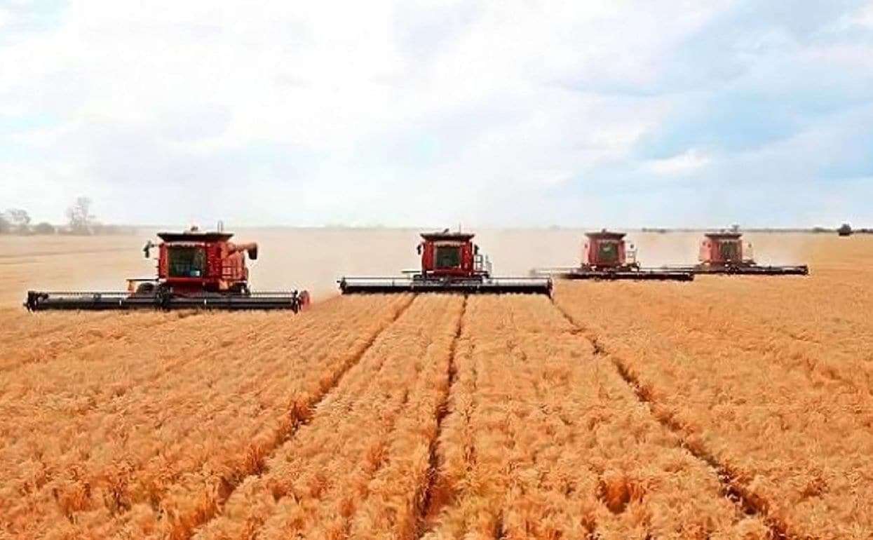 В 2024/25 МГ Россия может экспортировать до 66 млн тонн зерна — РЗС