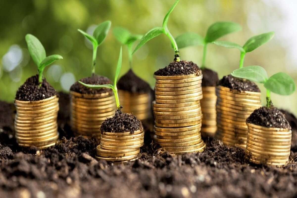 Fermierii sunt nemulțumiți: Discuțiile despre Creditul de Urgență, fără rezultat
