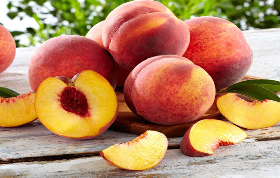 Oportunitate pentru horticultori: Seminar dedicat cultivării piersicilor și nectarinelor