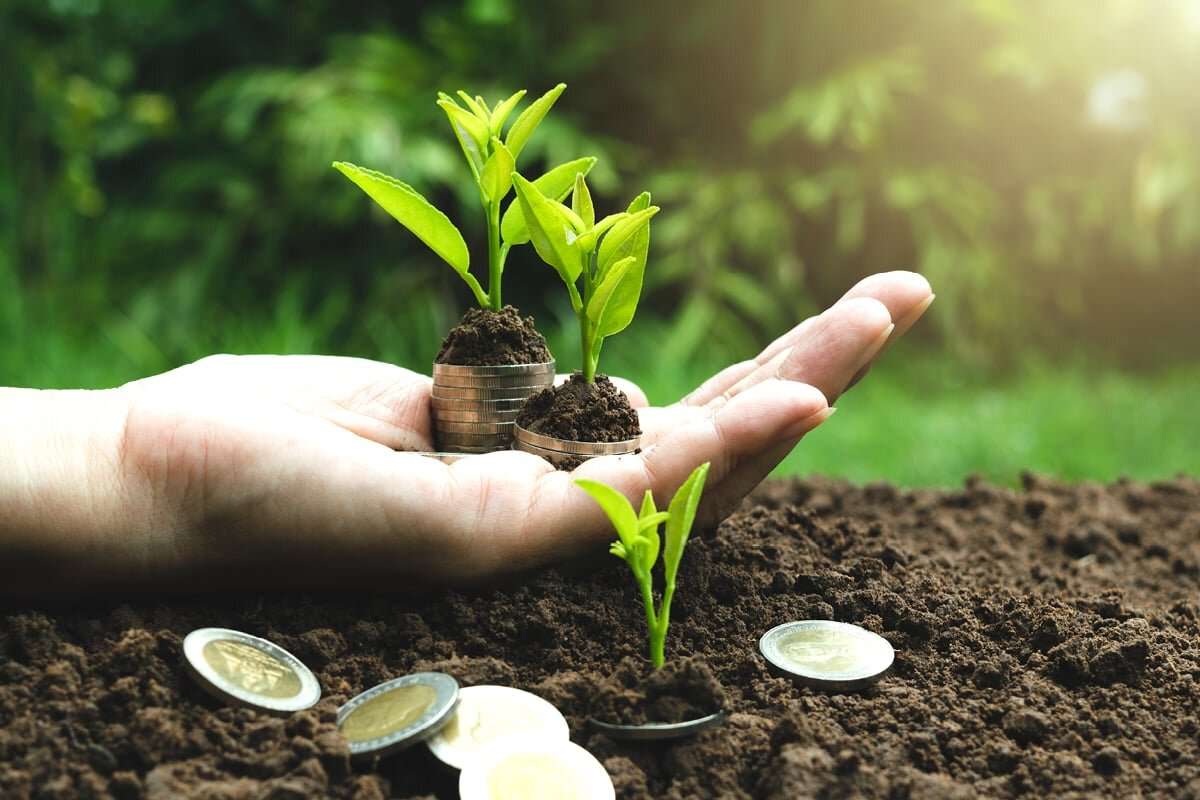 Creditul Agricol de Urgență: 77 de cereri au fost aprobate
