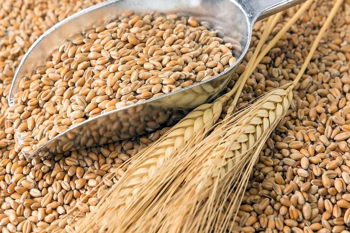 Exporturile de cereale ale României au scăzut cu peste 4% anul trecut