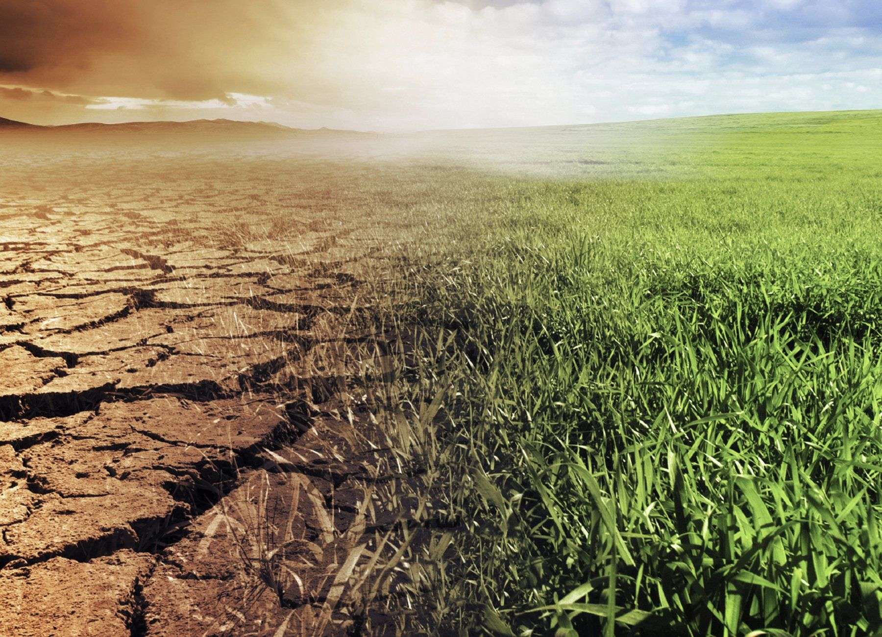 Atelierul FAO, la Chișinău: Se discută despre schimbările climatice