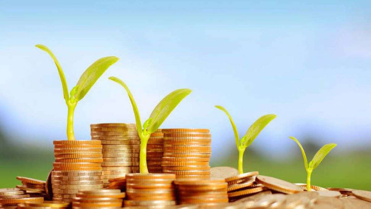 Accesul la Creditul Agricol de Urgență: Autoritățile propun derogări la anumite legi